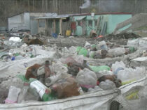 В Алапаевске продолжает дымить мусорный полигон