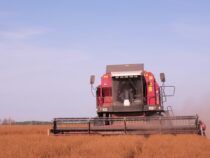 Правительство Свердловской области нацелило аграрный сектор региона на обеспечение сохранности урожая