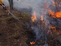 В Свердловской области продолжается ликвидация природных пожаров