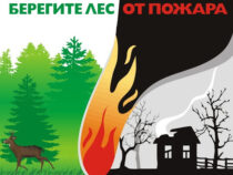 Первые нарушения правил пожарной безопасности в лесах выявили лесные инспекторы на Среднем Урале