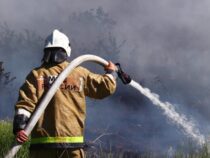 Количество локализованных и ликвидированных пожаров в Свердловской области увеличилось