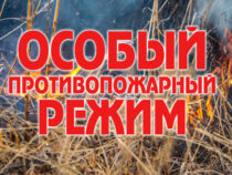 Особый противопожарный режим продлен на Среднем Урале до 6 июля
